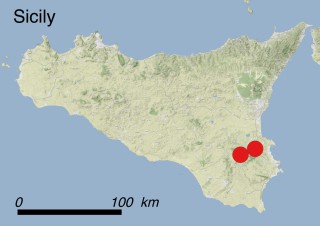 Location of Zelkova sicula